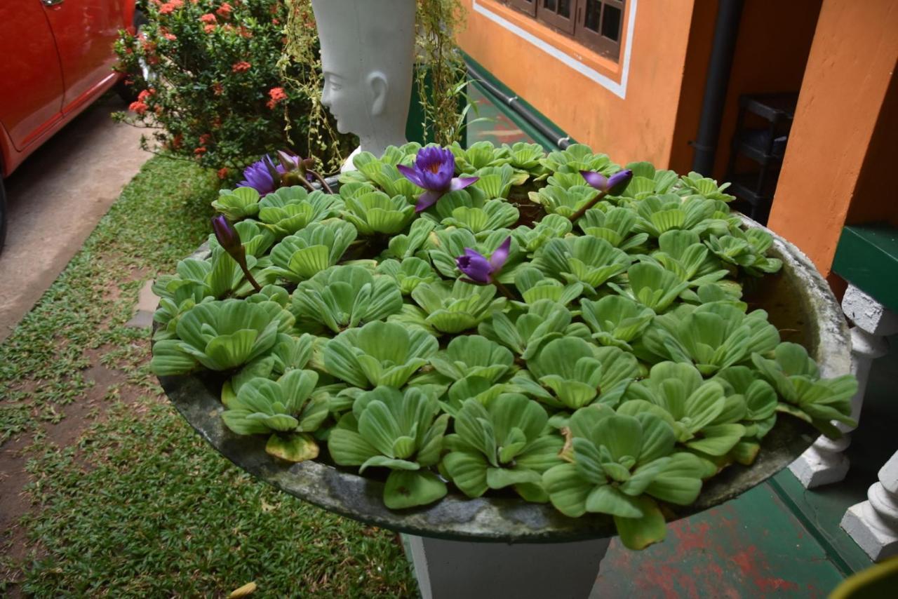 S P City Resort Anuradhapura Eksteriør billede